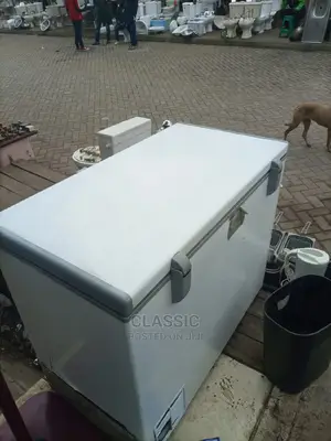 Freezer, Fridge Repairs and Services