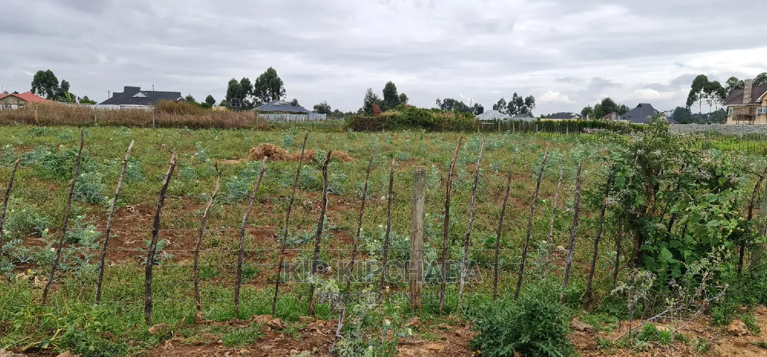 Prime Commercial 1⁄4 Plot for Sale in Chepkoilel Eldoret