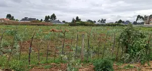 Prime Commercial 1⁄4 Plot for Sale in Chepkoilel Eldoret