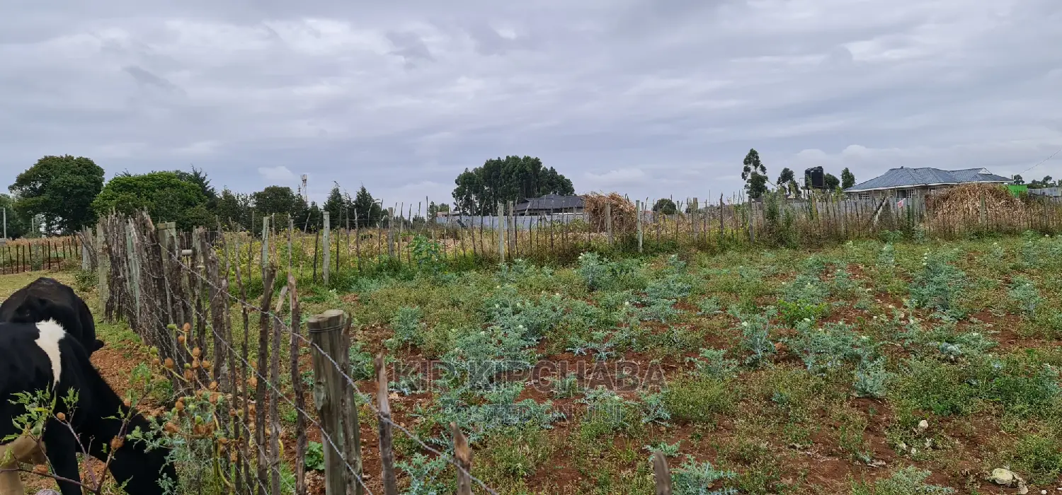 Prime Commercial 1⁄4 Plot for Sale in Chepkoilel Eldoret