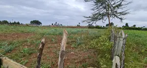 Prime Commercial 1⁄4 Plot for Sale in Chepkoilel Eldoret