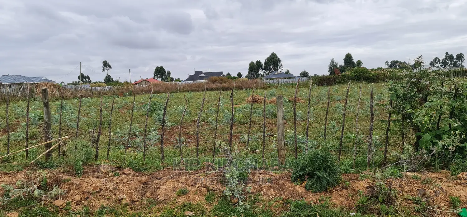 Prime Commercial 1⁄4 Plot for Sale in Chepkoilel Eldoret