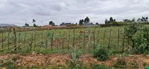 Prime Commercial 1⁄4 Plot for Sale in Chepkoilel Eldoret