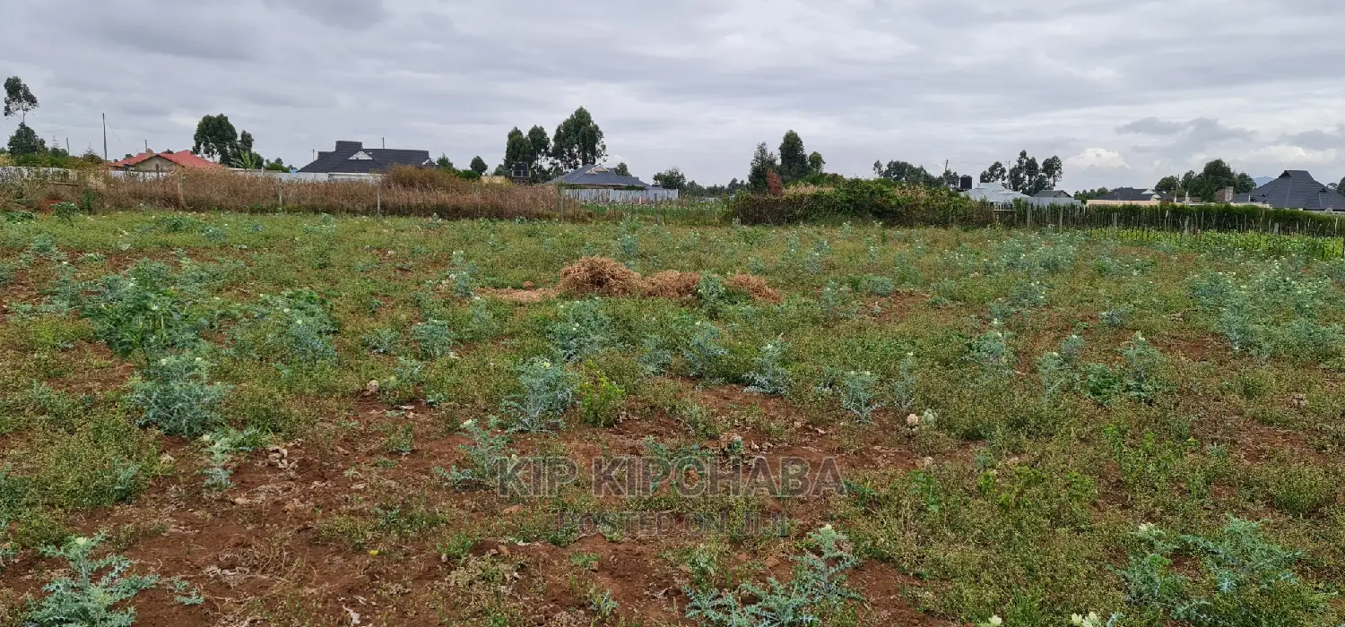Prime Commercial 1⁄4 Plot for Sale in Chepkoilel Eldoret