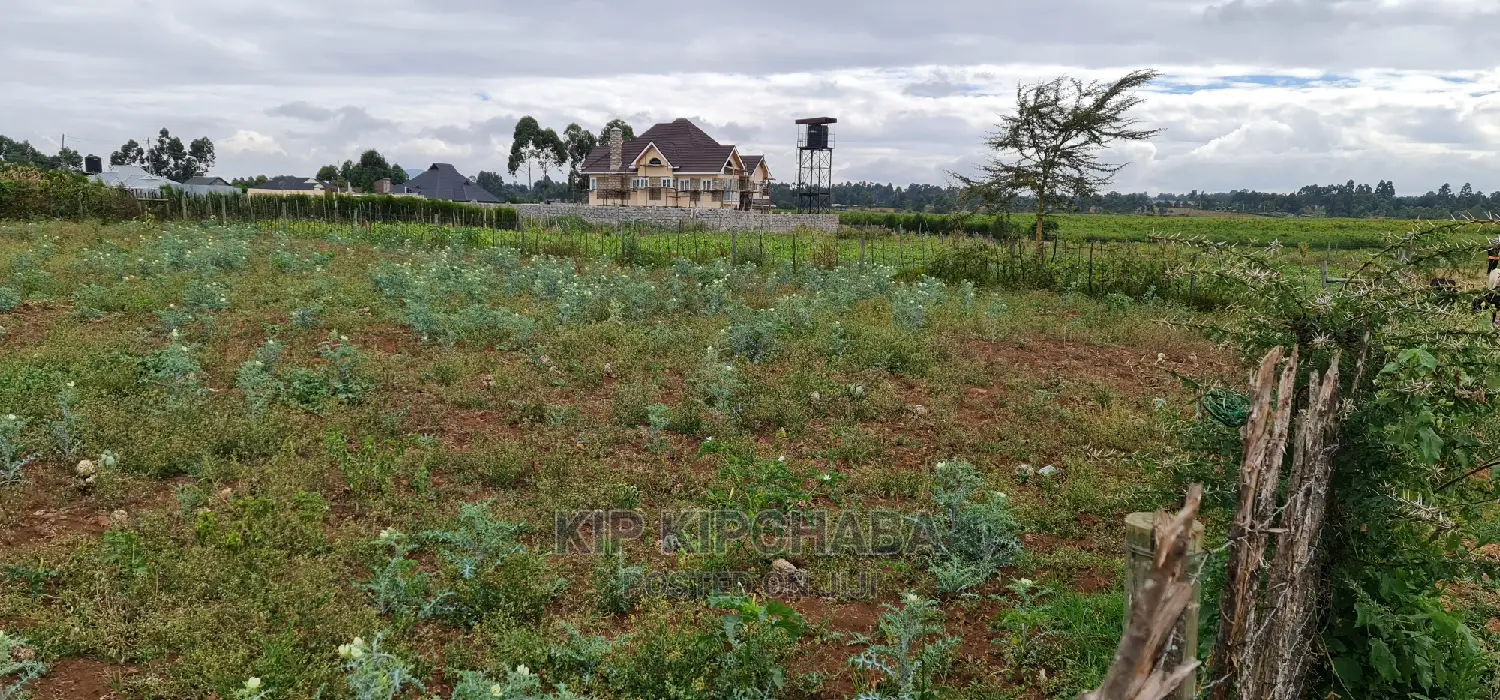Prime Commercial 1⁄4 Plot for Sale in Chepkoilel Eldoret