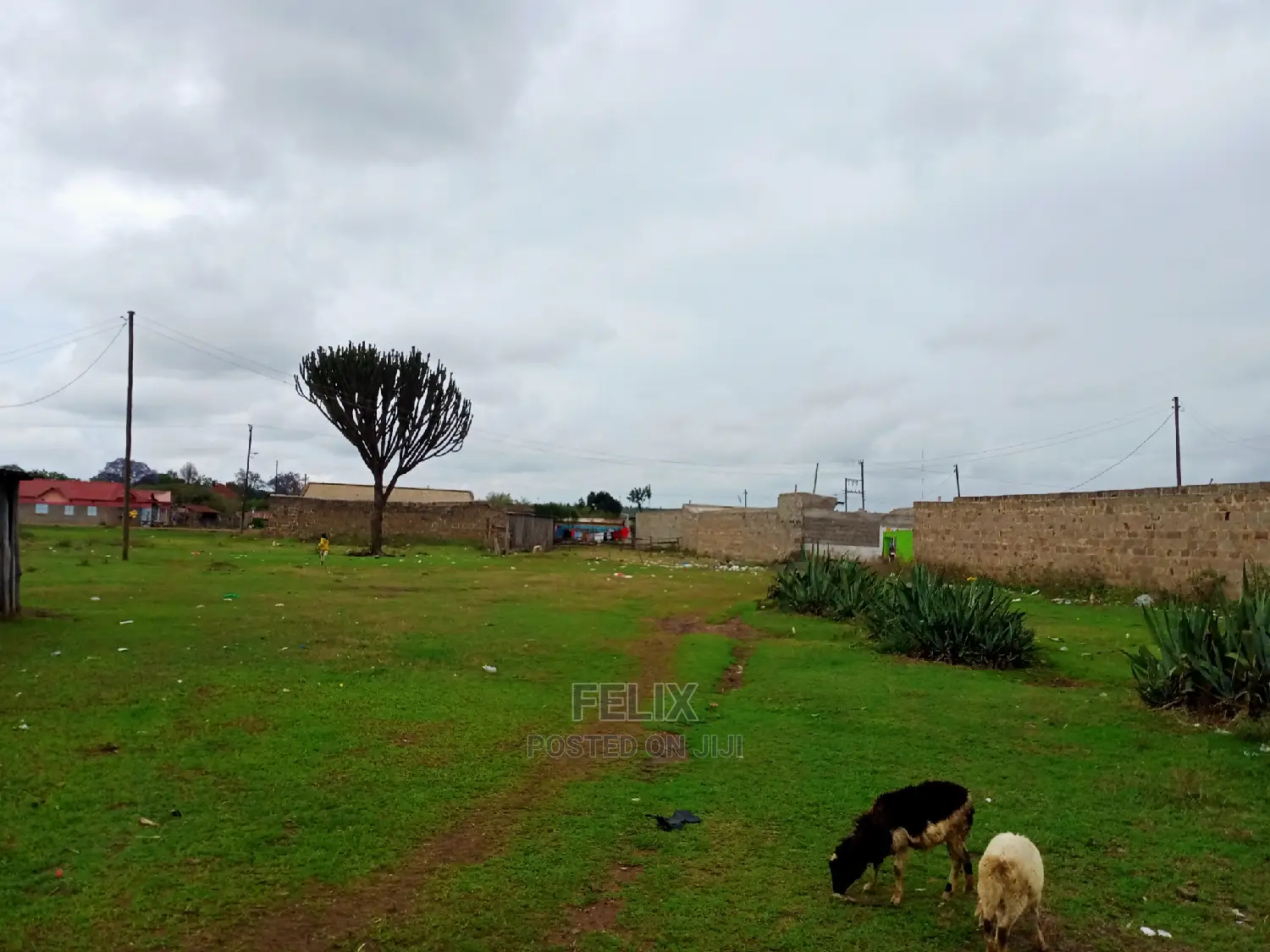 Chaka Town 50/100 Prime Plots