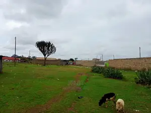 Chaka Town 50/100 Prime Plots