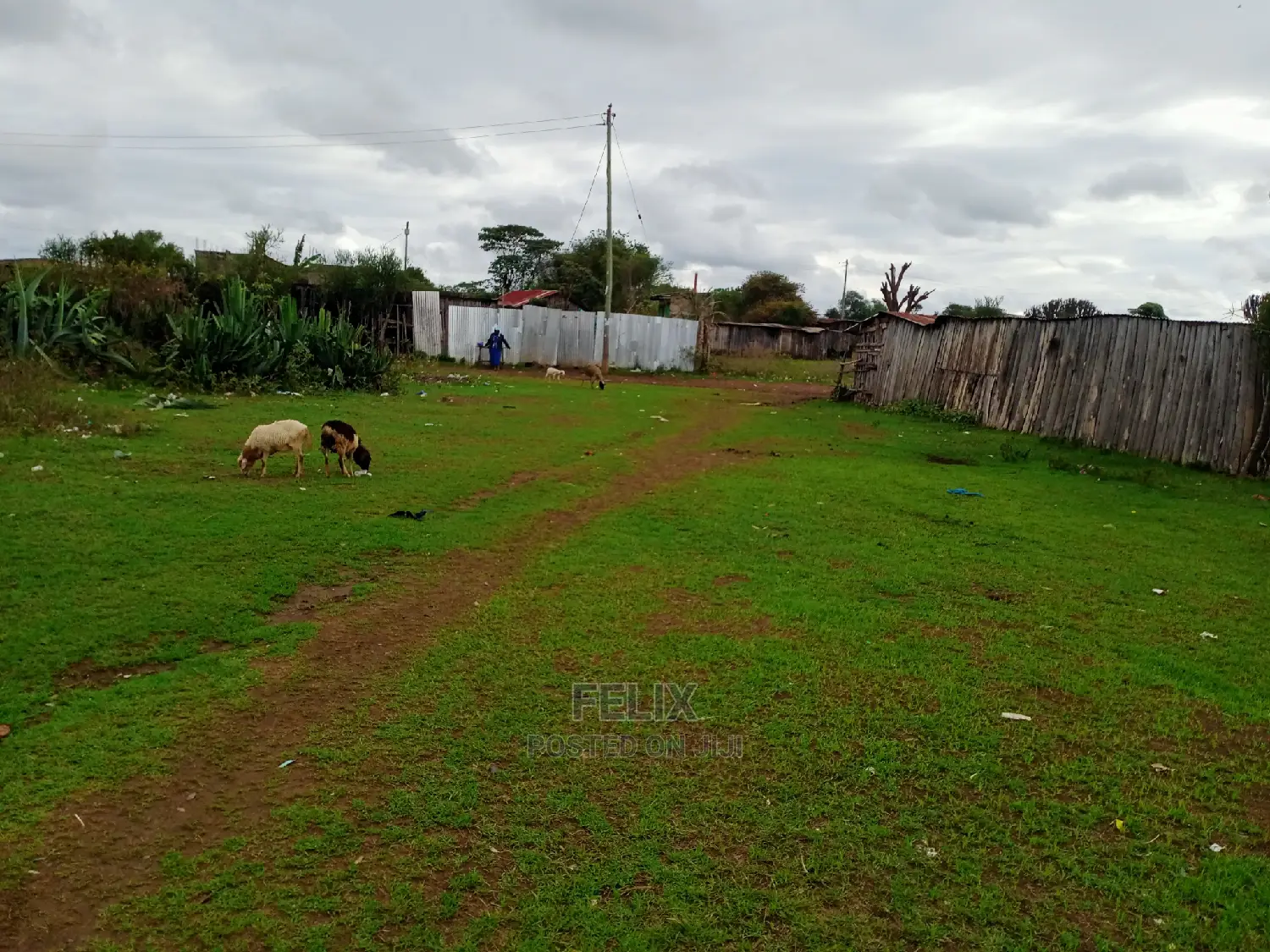 Chaka Town 50/100 Prime Plots