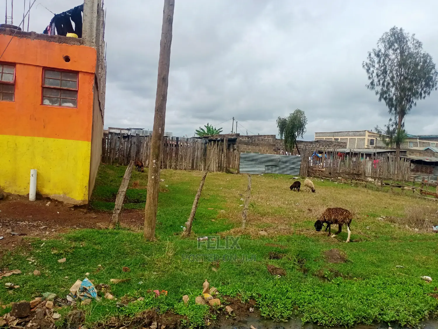 Chaka Town 50/100 Prime Plots