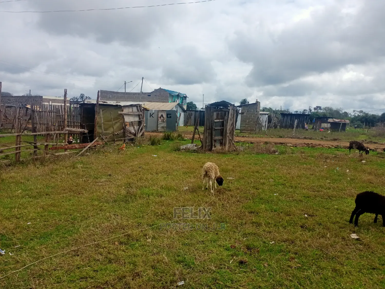 Chaka Town 50/100 Prime Plots