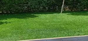 Modern Homes Landscaping and Gardening Services