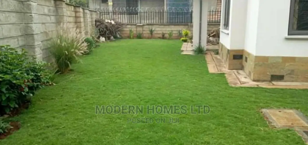 Modern Homes Landscaping and Gardening Services