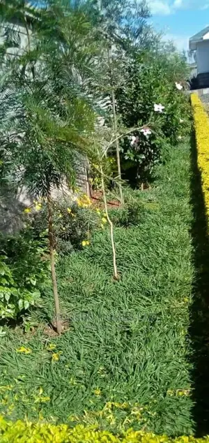 Landscaping and Gardening Services