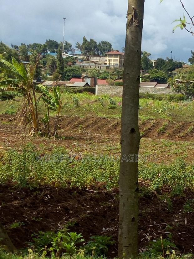 100*100 Plot on Sale at Kamirithu Limuru - thumbnail 4