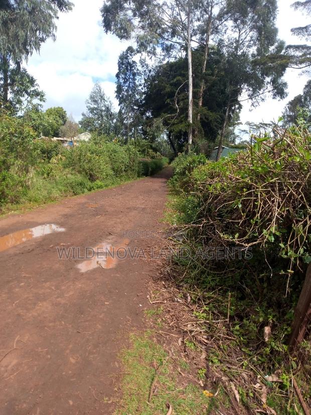 100*100 Plot on Sale at Kamirithu Limuru - thumbnail 5