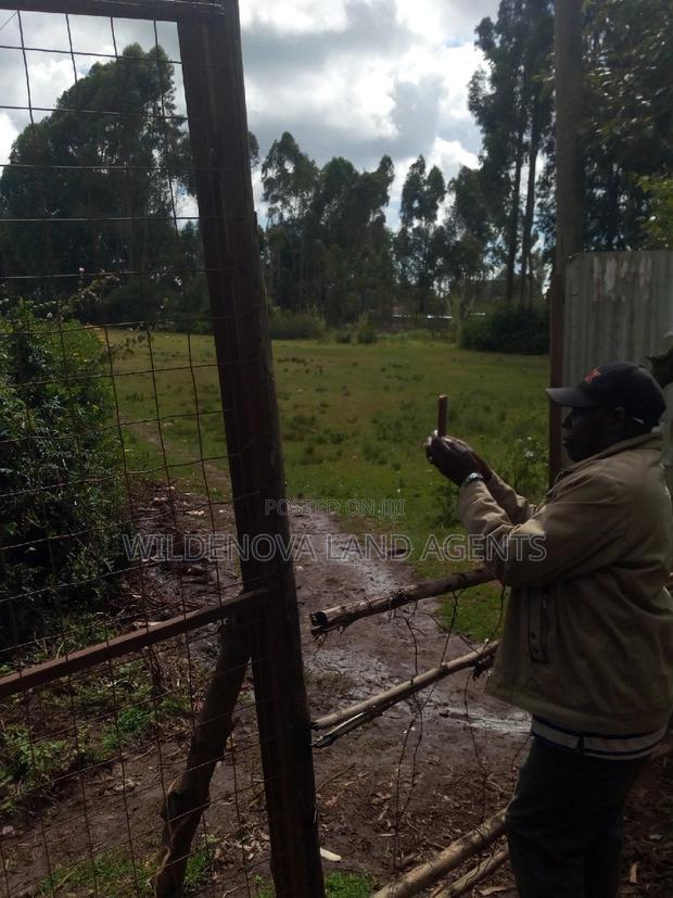100*100 Plot on Sale at Kamirithu Limuru - thumbnail 7