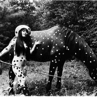 Anna Cardovillis logo