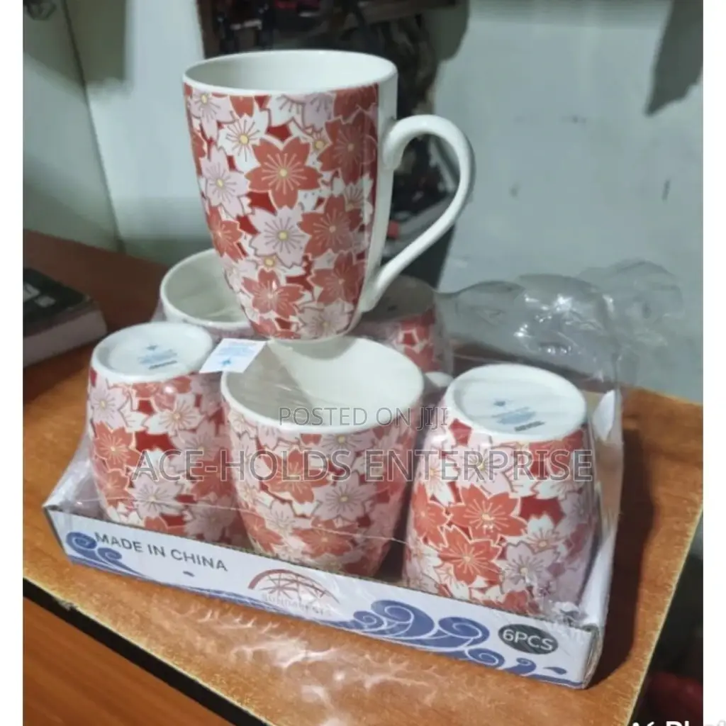 6 Pieces Ceramic Mugs