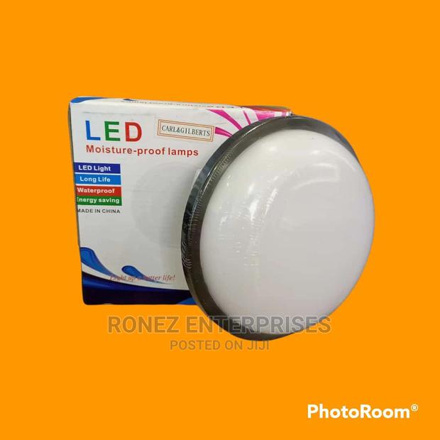 Led Bulkhead