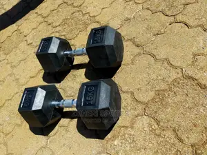 15kg Hexagon Dumbbell Pair