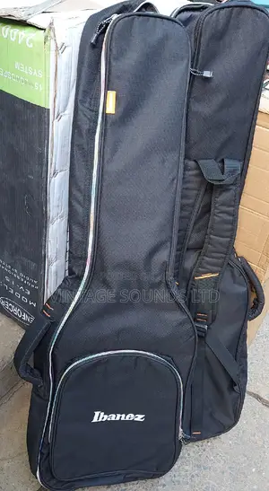 Best Guitar and Quality Bags