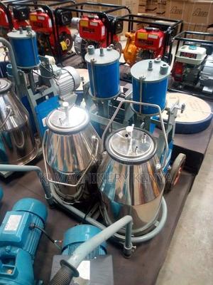 Quality Double Bucket Milking Machine - main view