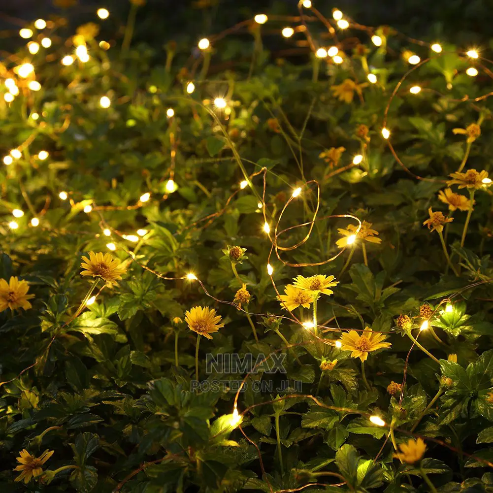 Starry Copper Led Lights 10mtrs