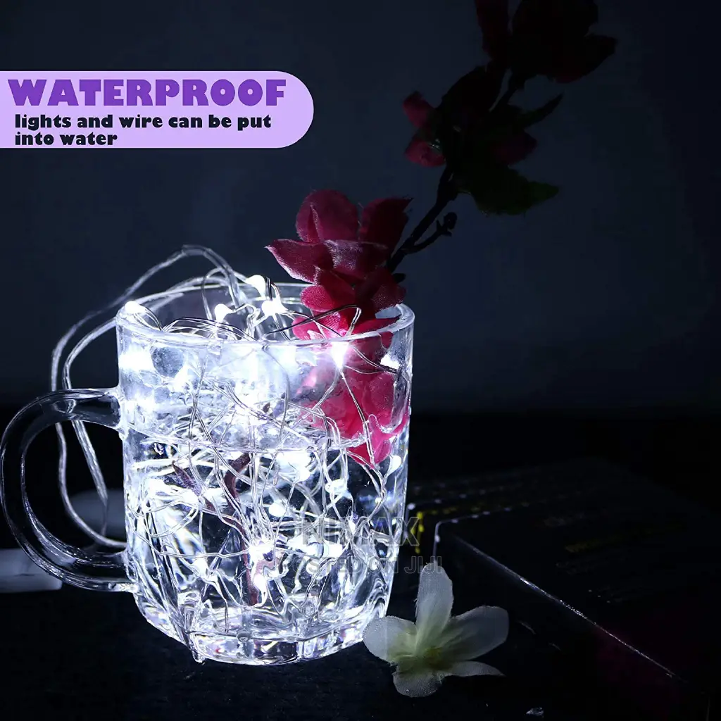 Starry Copper Led Lights 10mtrs
