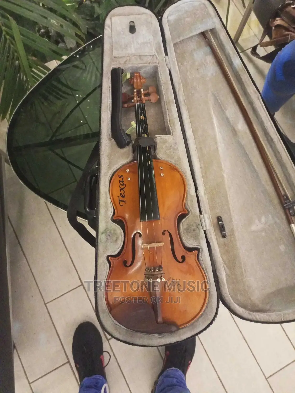 Violinist for Hire