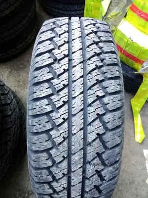 265/65r17 Maxtreck Tyres Made in China