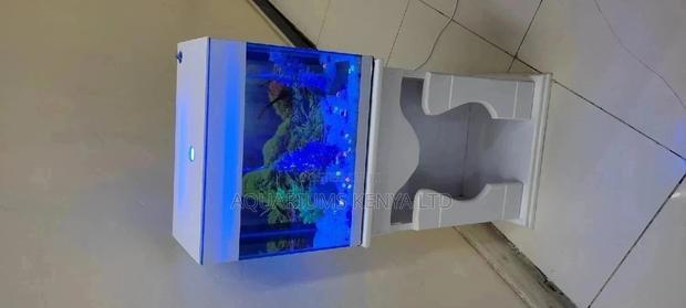 Small Aquariums With Cabinet - main view