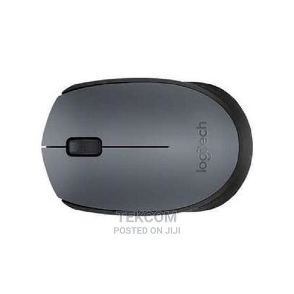 Logitech M171 Wireless Optical Mouse Grey - main view