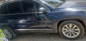 Volkswagen Tiguan 2012 Blue