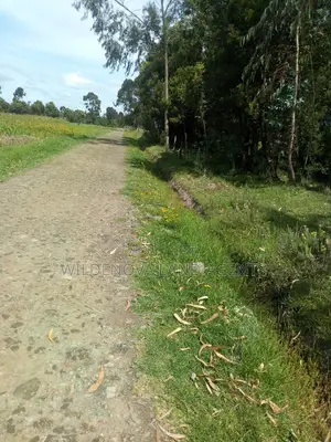 1/2 Acre on Sale at Kinangop Mtonyora
