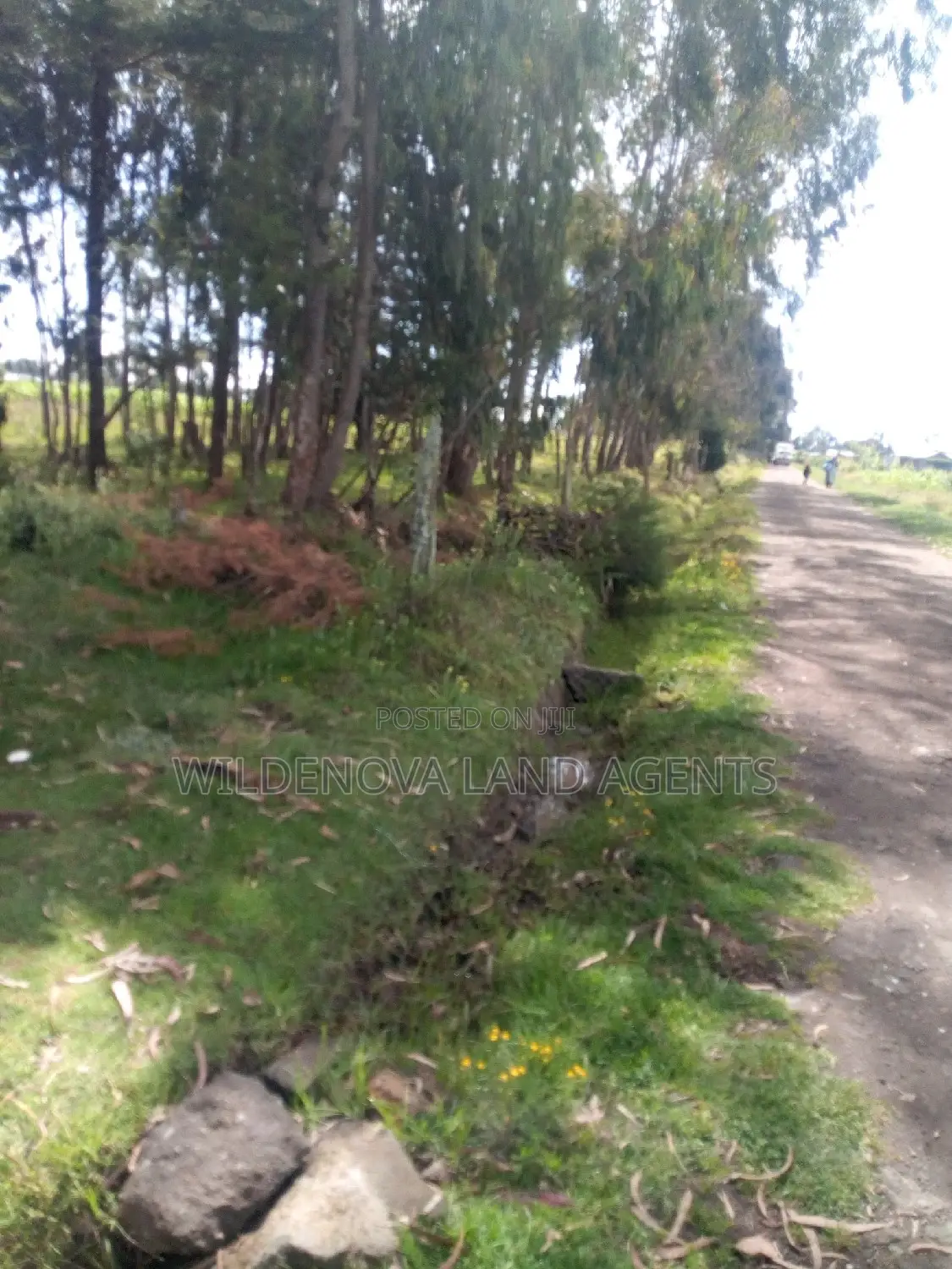 1/2 Acre on Sale at Kinangop Mtonyora