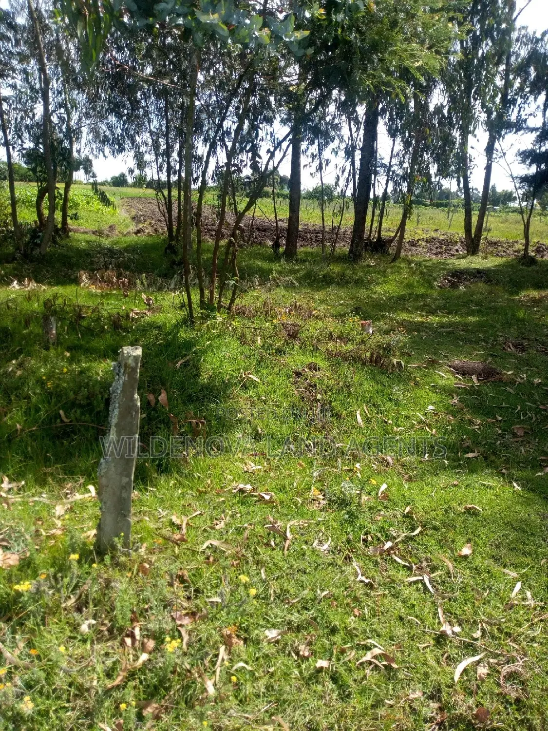 1/2 Acre on Sale at Kinangop Mtonyora