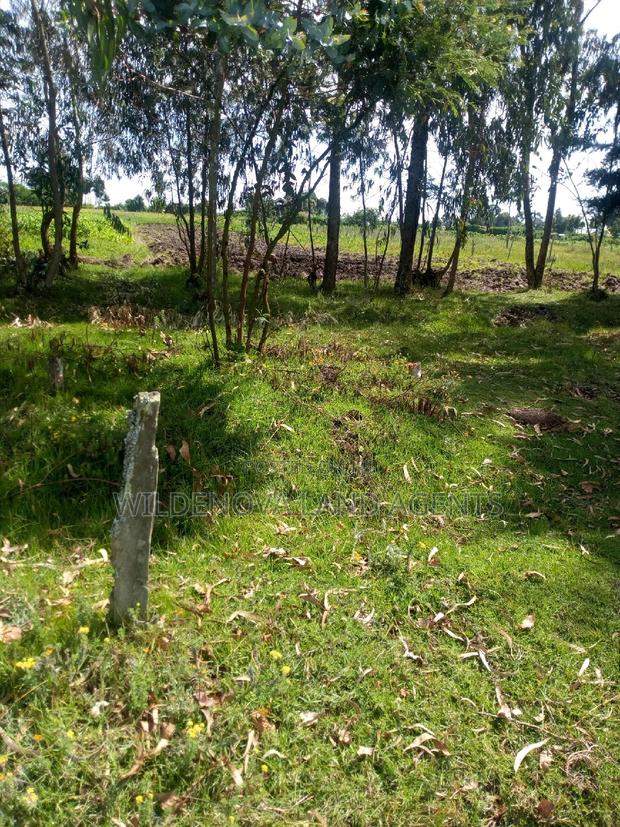 1/2 Acre on Sale at Kinangop Mtonyora - thumbnail 3