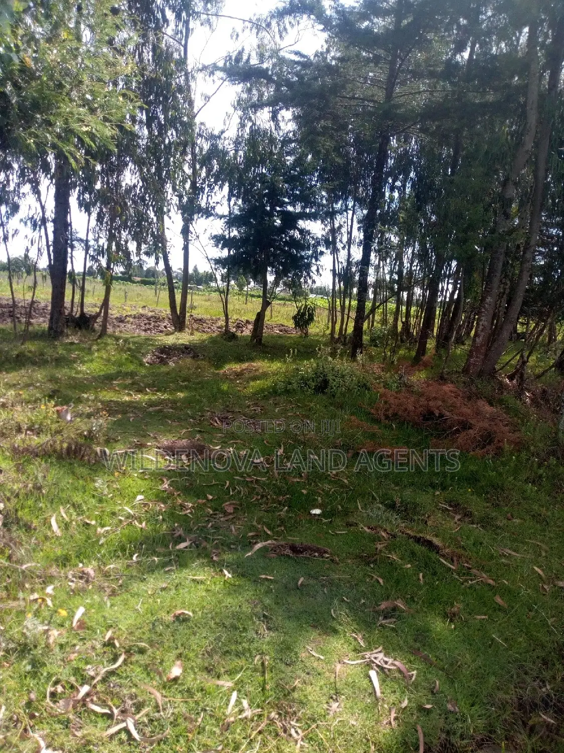 1/2 Acre on Sale at Kinangop Mtonyora