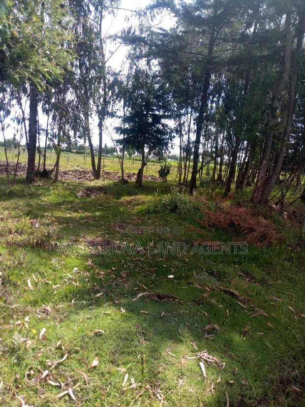 1/2 Acre on Sale at Kinangop Mtonyora - thumbnail 4