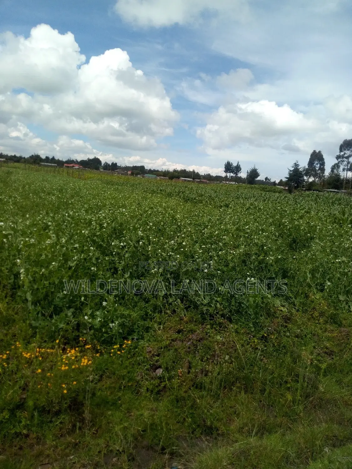 1/2 Acre on Sale at Kinangop Mtonyora