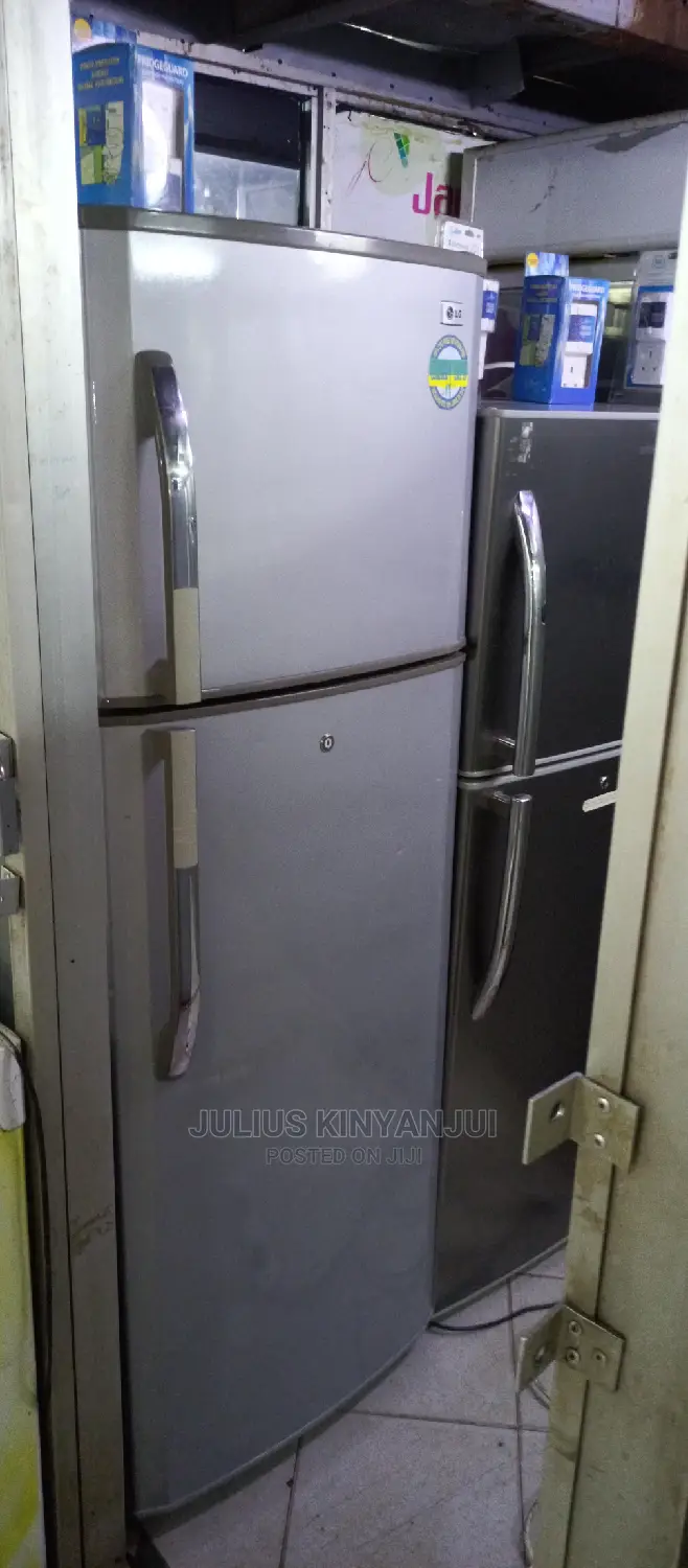 LG 300L Fridge