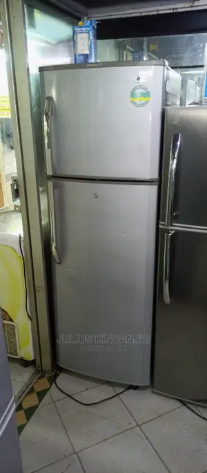 LG 300L Fridge