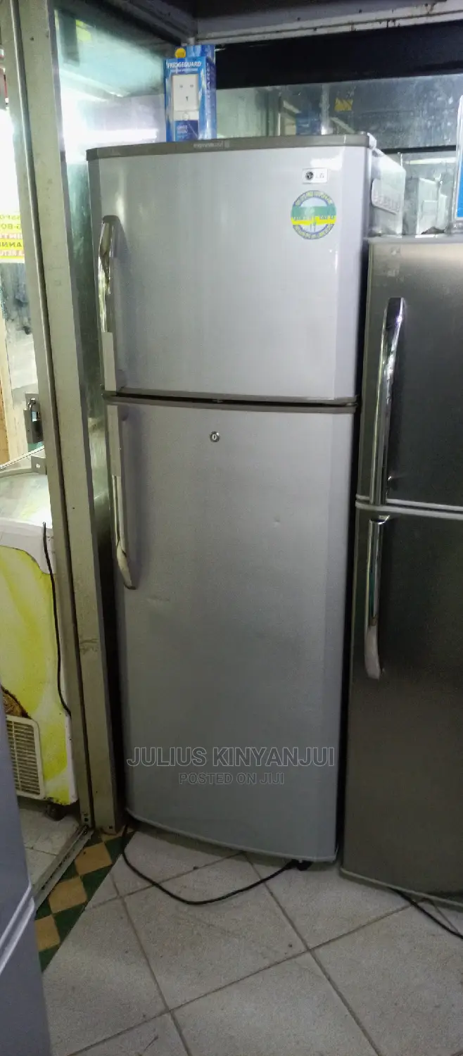 LG 300L Fridge