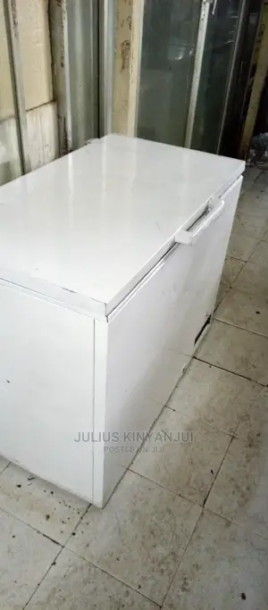 Deep Freezer 320L
