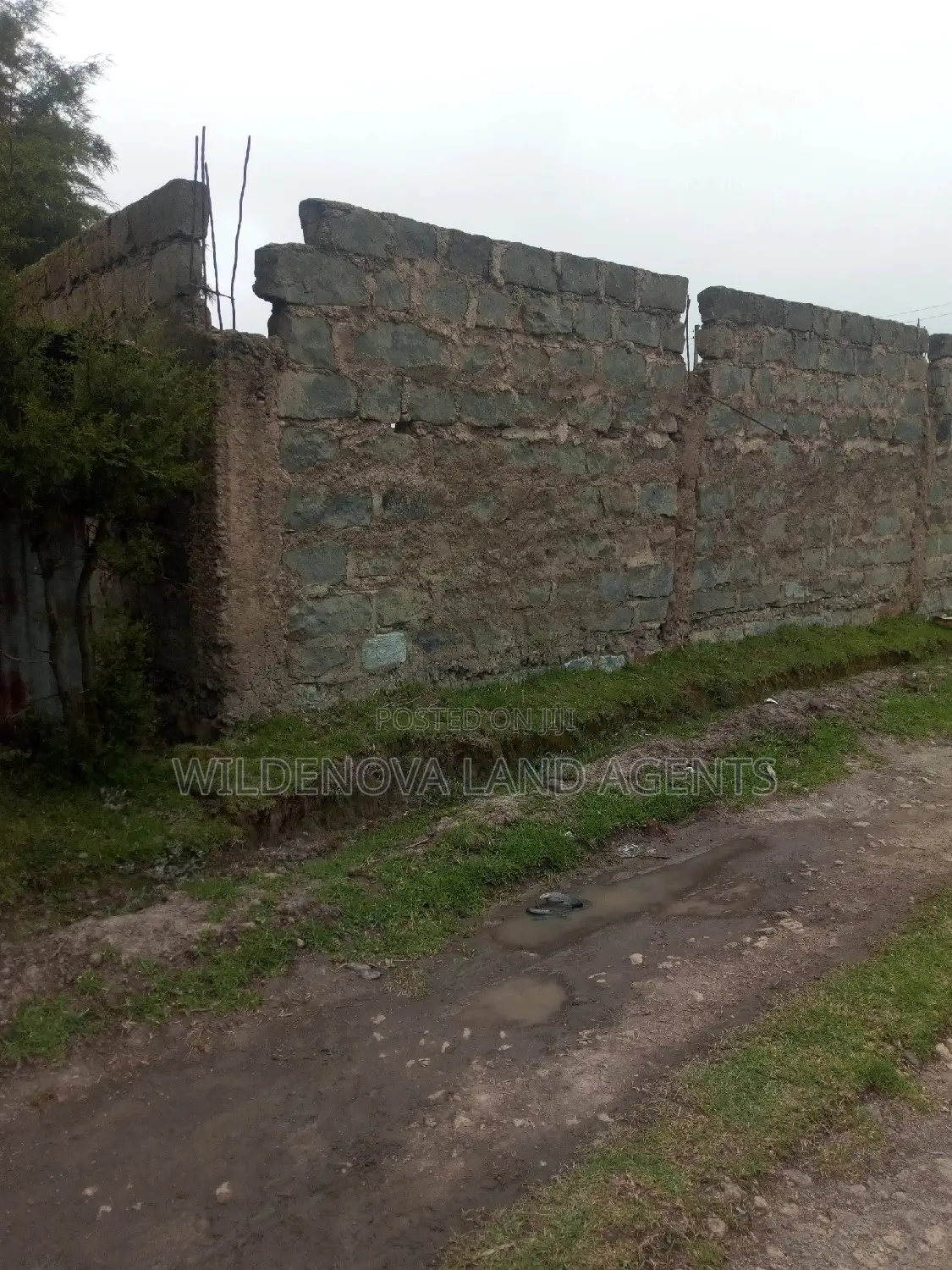 50*100 on Sale at Kinangop Mtonyora
