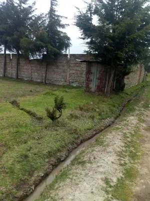 50*100 on Sale at Kinangop Mtonyora