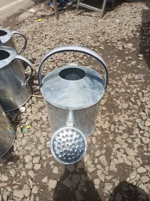 Metallic Watering Can