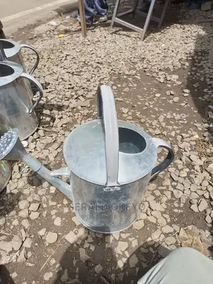 Metallic Watering Can
