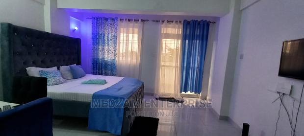 Furnished Studio Apartment in Kisimani Heights - thumbnail 3