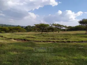 125 Acre Farm in Kitale